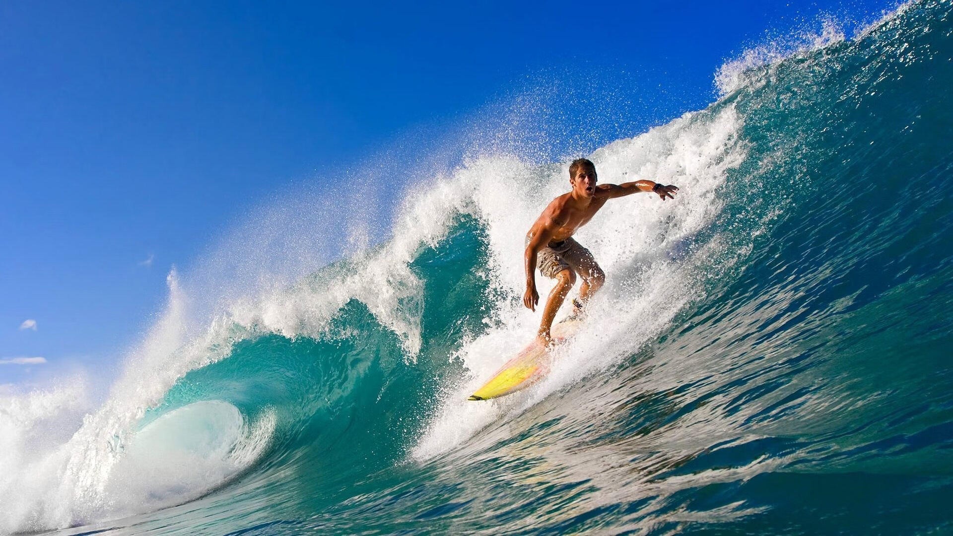 俱乐部财务透明度报告提升投资者与球迷信任度，俱乐部收益情况